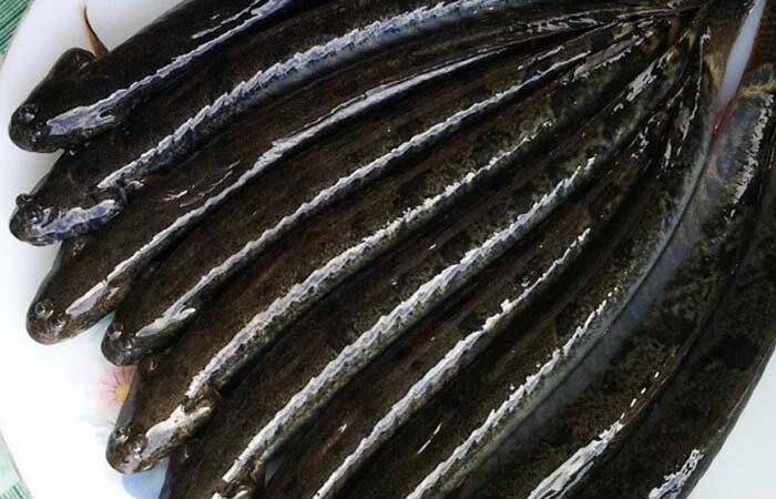 Thông tin thêm về sản phẩm khô cá kèo Cà Mau